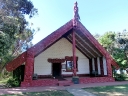 whangarei (24)